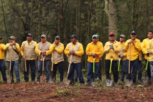 71_273_44788_588840262_jornada_reforestacion_Amealco_11-07-2024_12