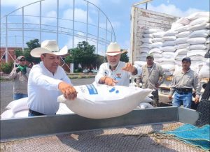 71_273_45258_84660219_SEDEA_avena_Qro.-San_Juan_30-08-2024_1