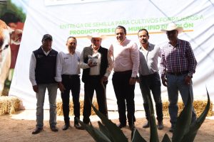 71_273_45785_397827733_SEDEA_Colon-avena_18-10-2024_2