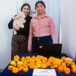 Exploran estudiantes UAQ el uso de residuos de insectos para potenciar cultivo de cempasúchil