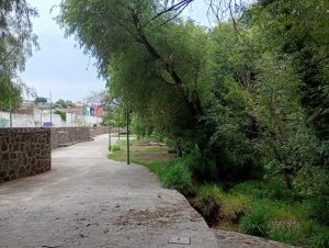 IMG-20260522-WA0072.jpg