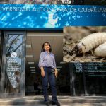 Investigadora UAQ insta a la población a cuidarse del gusano barrenador