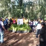Amealco fortalece la restauración ambiental con jornadas de reforestación que proyectan la siembra de 20 mil árboles