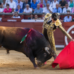 Juez ordena suspensión provisional de corrida de toros en la Feria de San Juan del Río