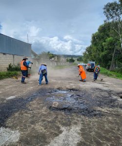 Bacheo